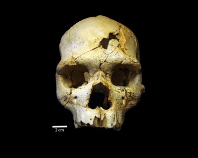 In Brief: Murder among the ruins The murder victim. Image: PLOS ONE